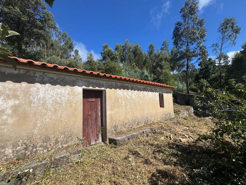 Ruin for reconstruction- Foia Monchique