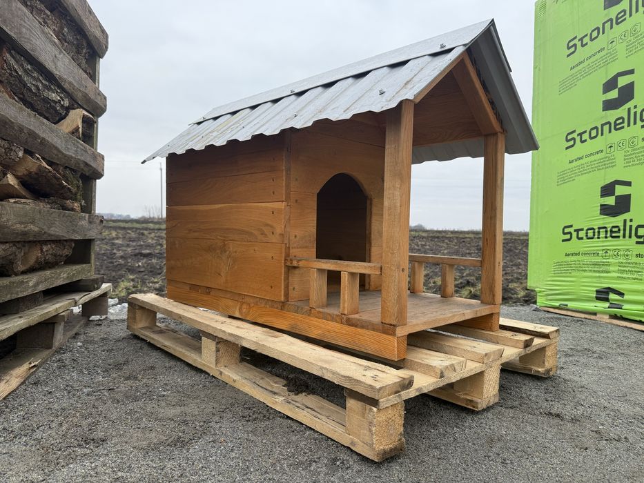 Собача бада нова дуб