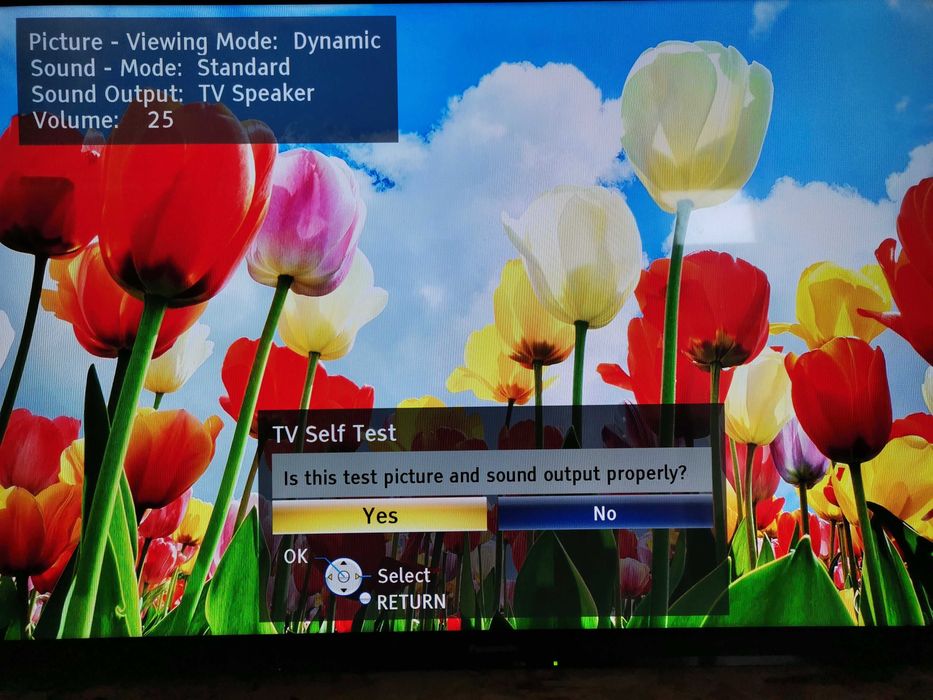 Mainboard Panasonic  TX-L42B6B TNP4G548 TXN/A 10WPUB