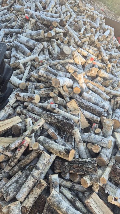 Sprzedaż Drewna opałowego.