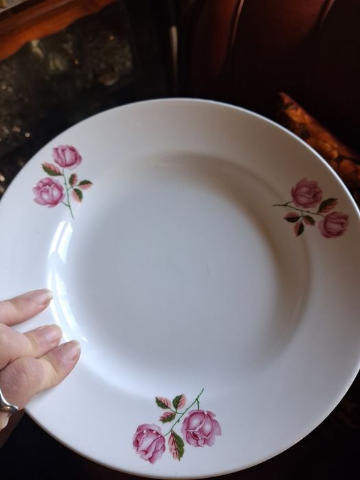 Serviço pratos gesol rosas