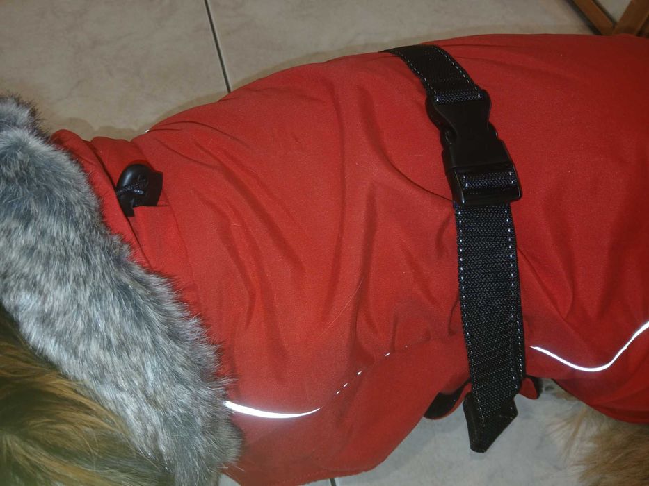 Kurtka dla psa. Kurteczka dla psa. Ubranko dla psa.