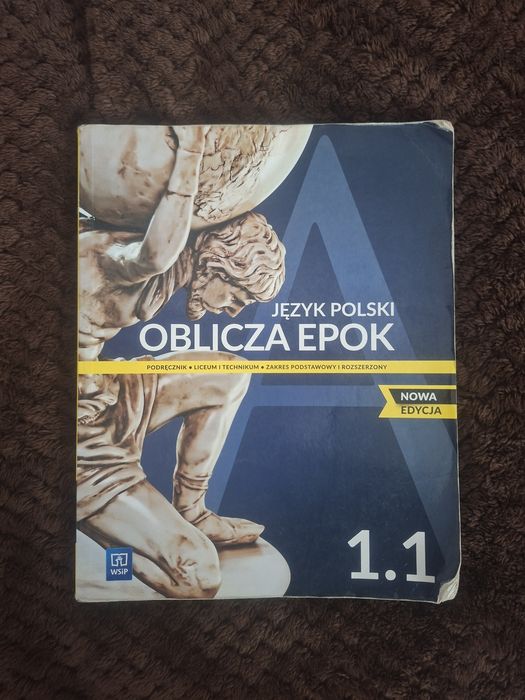 Książka dla szkół średnich liceum technikum polski