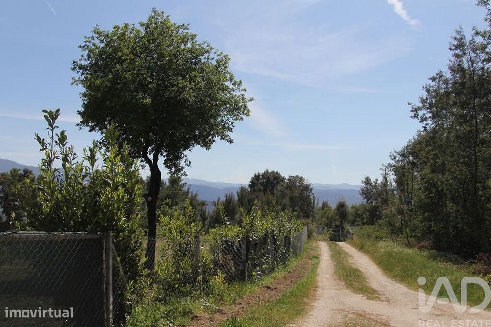 Terreno Agrícola em Oliveira do Hospital e São Paio de Gramaços
