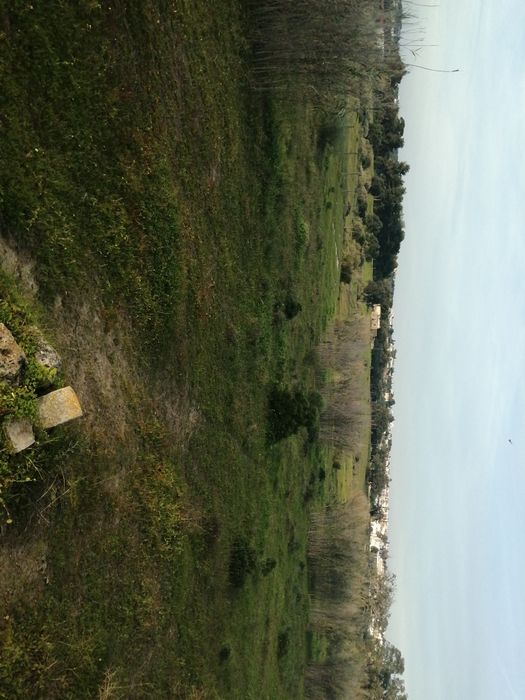 Terreno, Salgados, Guia