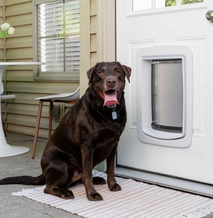 Pet Safe Smart drzwiczki dla psa i kota z chipem, Wi-Fi, aplikacja L