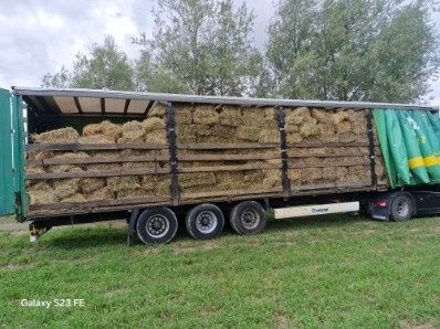 siano  kostki ściółka pokój 2025