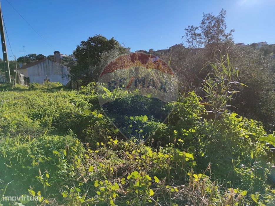 Terreno  para venda — Santa Margarida da Coutada, Santarém
