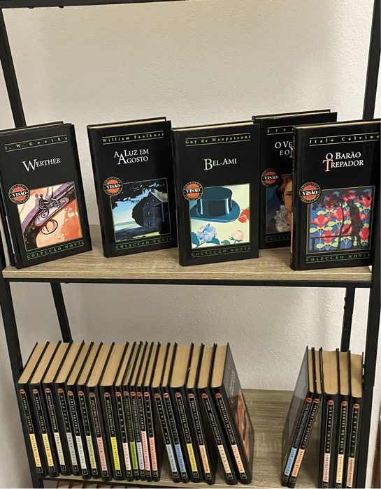 Livros da visão coleção completa 30 volumes