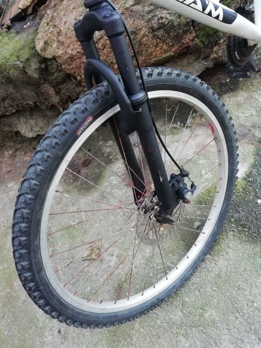 Bicicleta team disco