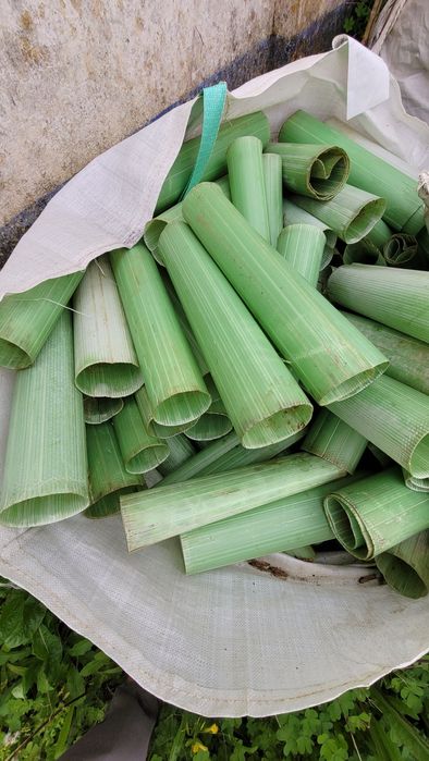 Protectores de Vinha