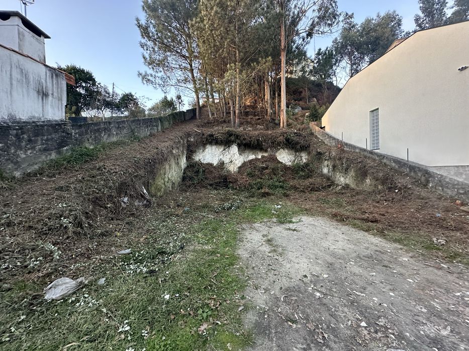 Limpeza de terrenos e jardinagens