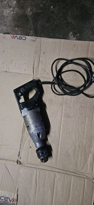 Wiertarka celma polska