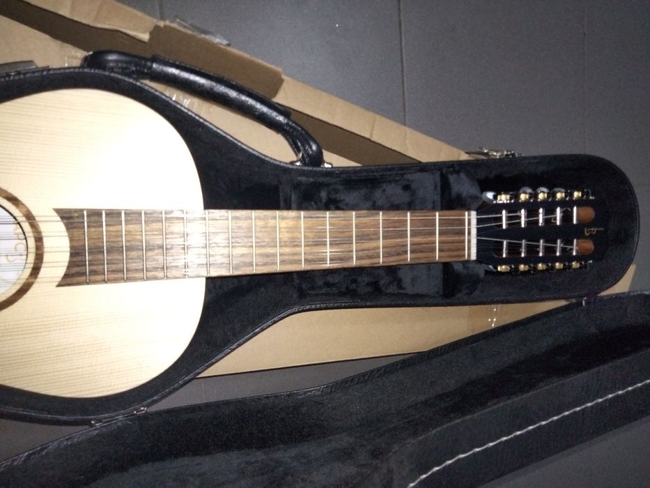 Bragançan Viola Kit with Case64730172837378123