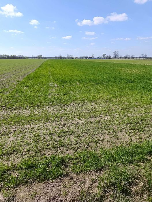 Działka rolna 1,99 ha