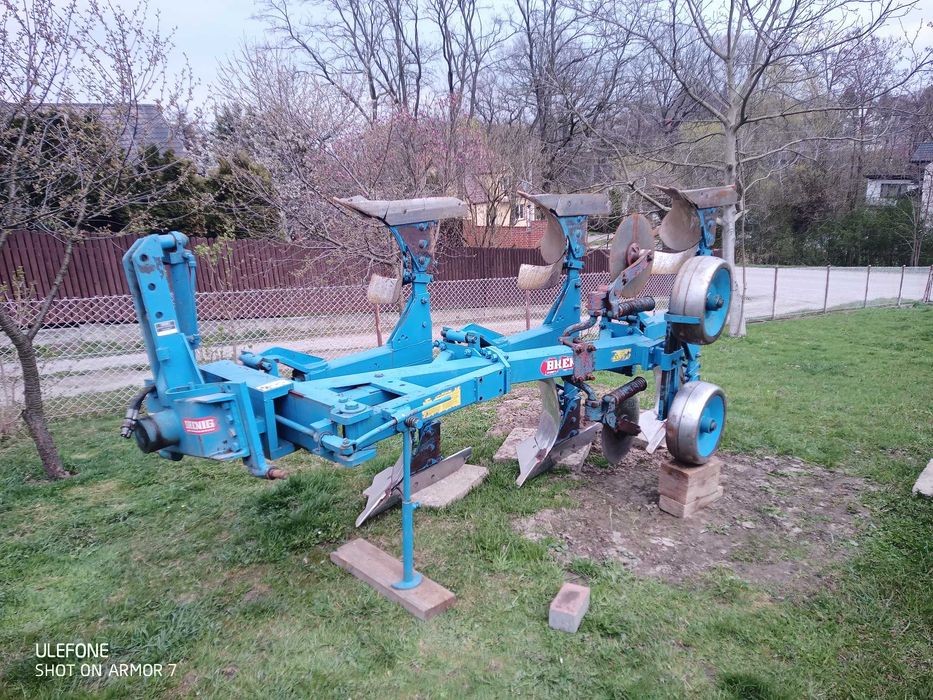 Odam suczke za darmo