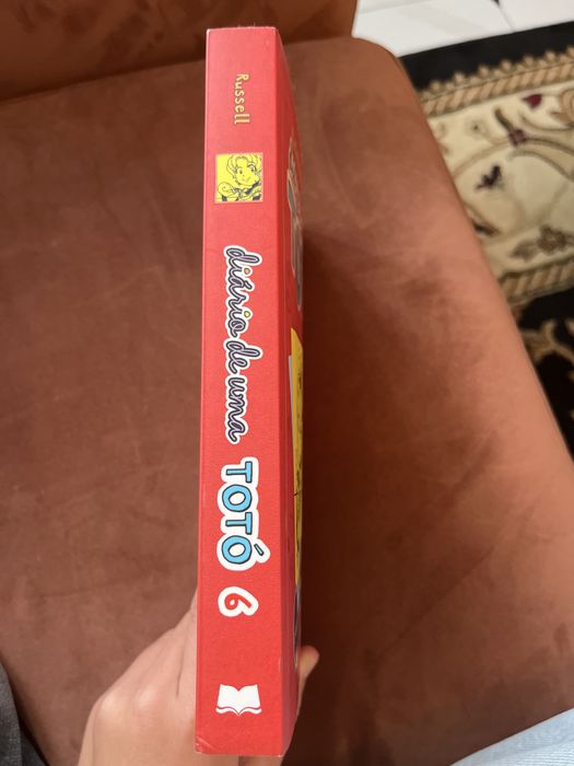 livro “diário de uma totó” 6