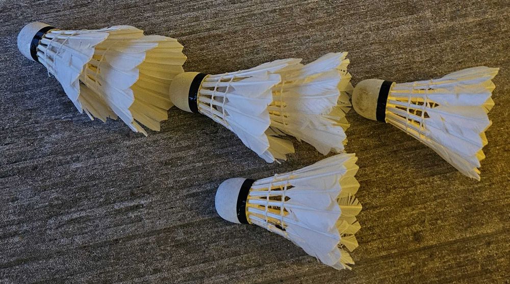 Conjunto Jogo Badminton