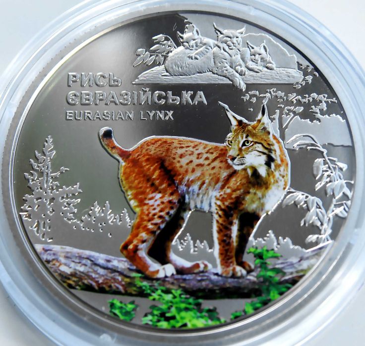 Чорнобиль. Відродження. Рись євразійська