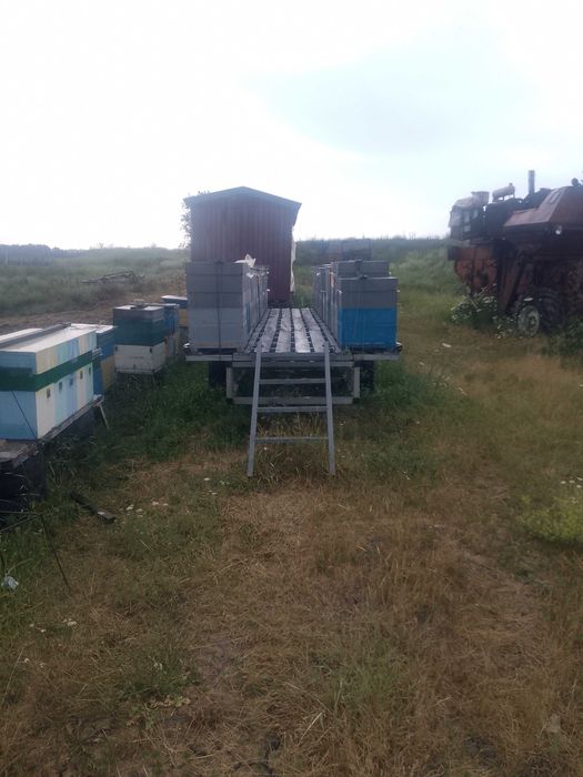 Продам прицеп с пчелами