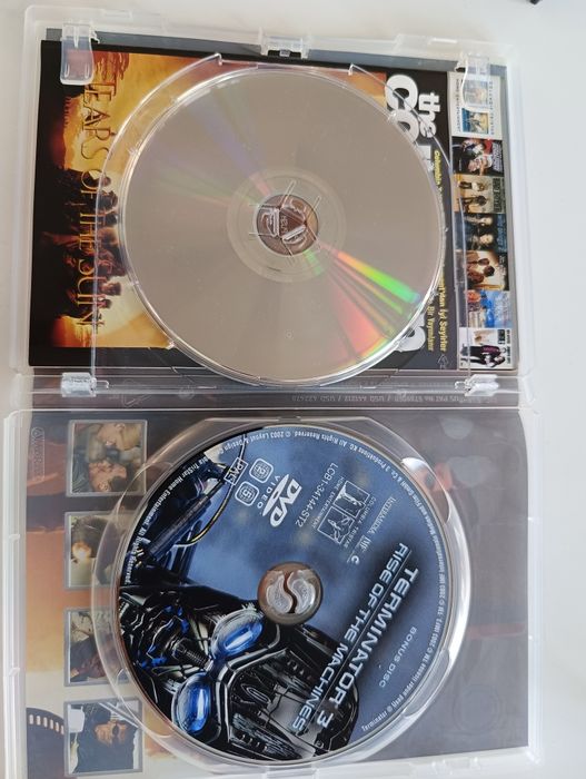 Terminator 3, DVD, polska wersja językowa