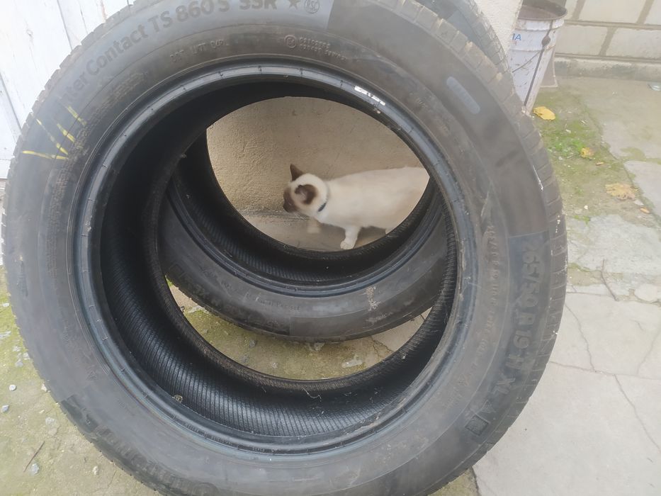 Продам зимние шины на туарег