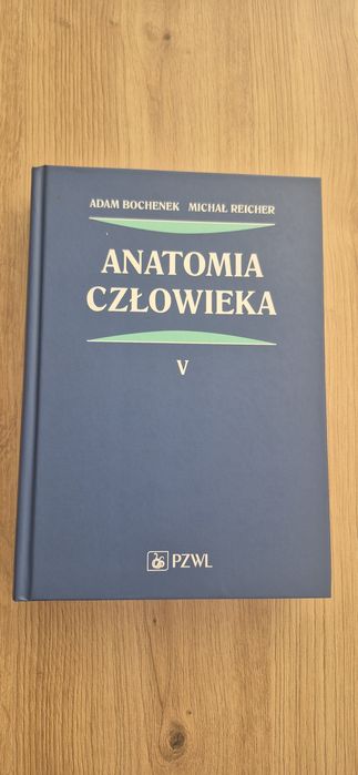 Anatomia człowieka tom V PZWL