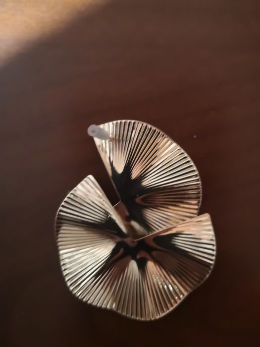 Brincos dourados leves