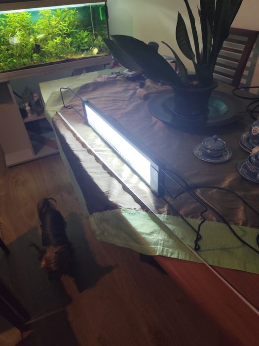 Iluminação Aquário