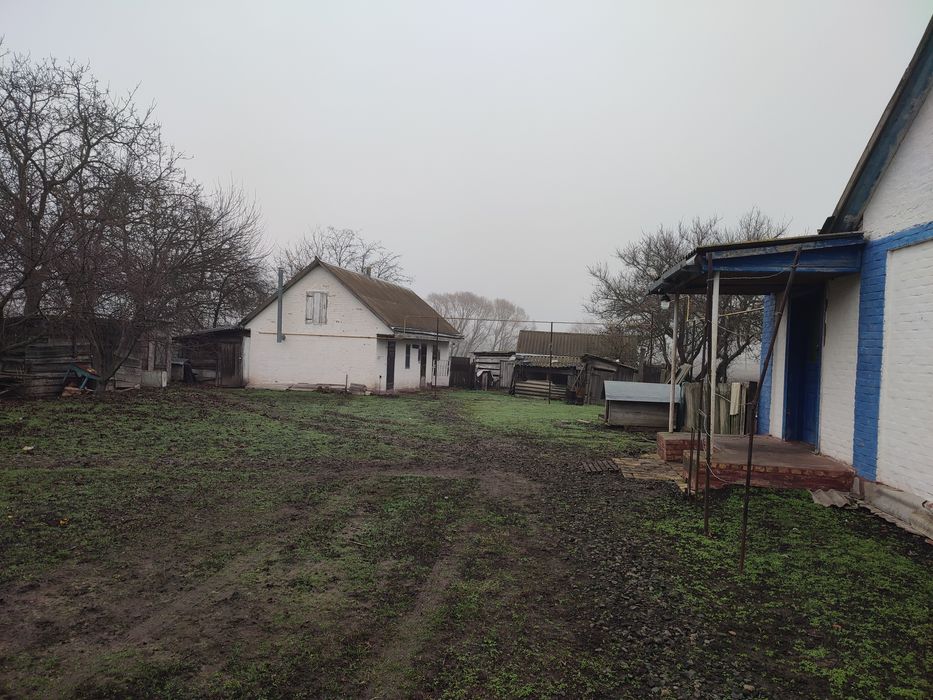 Будинок, Полтавська область