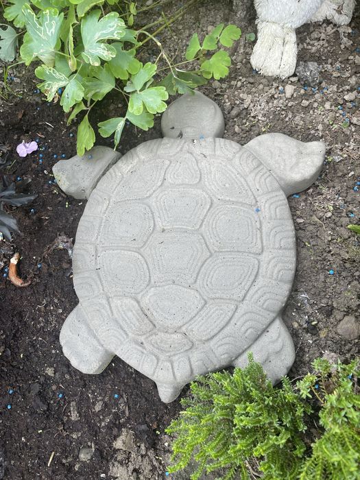 Ścieźka jak żółwi szlak