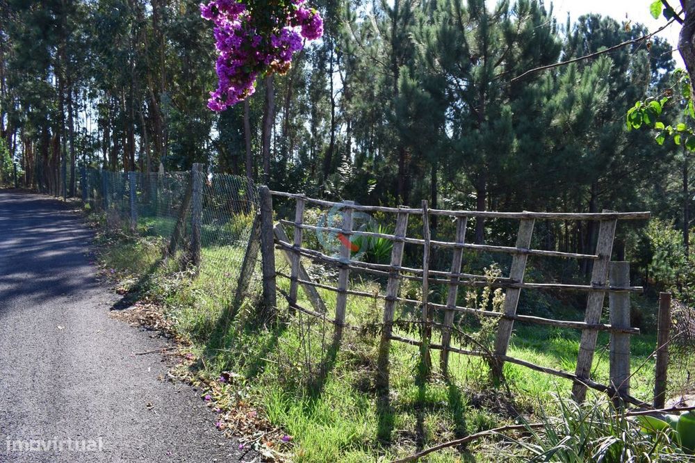 Land with Construction Feasibility