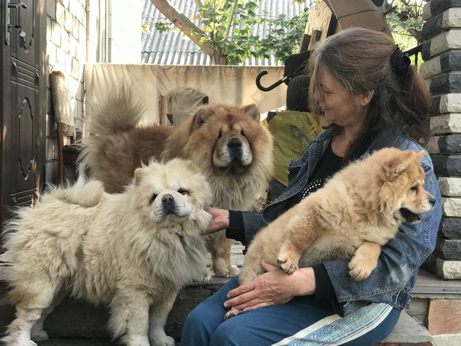 Чудові парубки доставка