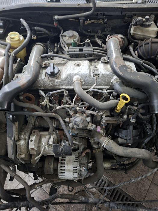 Motor focus tdci 2004