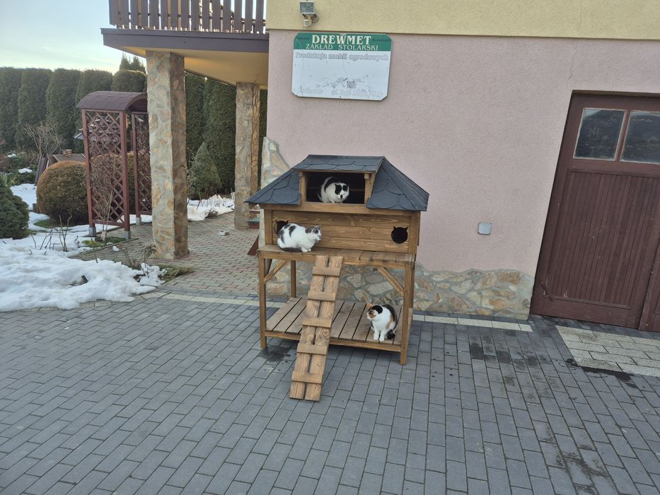 Buda dla dwóch kotów