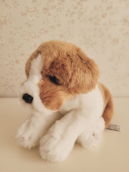 М'яка іграшка Собака Лабрадор Anna Club Plush