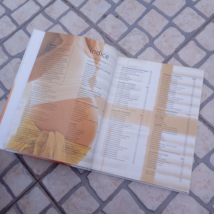 Livro "Manual da gravidez semana a semana"