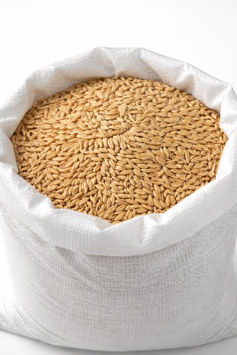 Owies ziarno 700zł tona