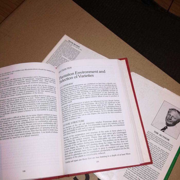 Propagaçao de proteas de jack harre