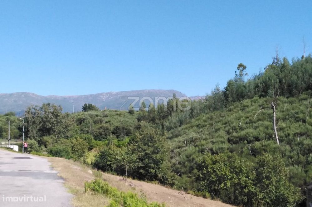Terreno 20.0000m2 em Serrado - Maceirinha - Sta Eulália — Sameice E Santa Eulália, Guarda