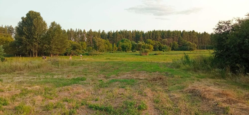 Продам будинок в с.Хацьки
