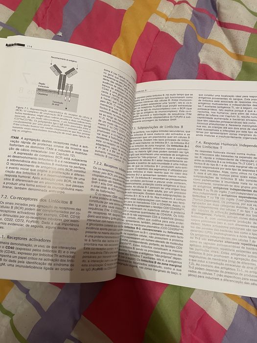 Fundamentos de Imunologia