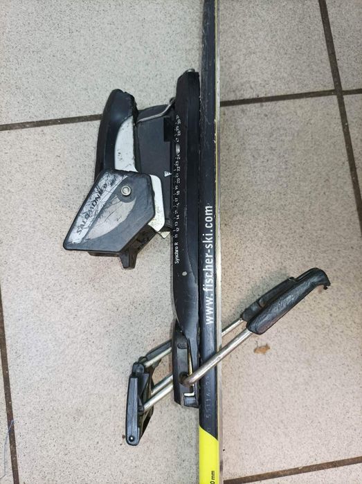 Narty Fischer żółte