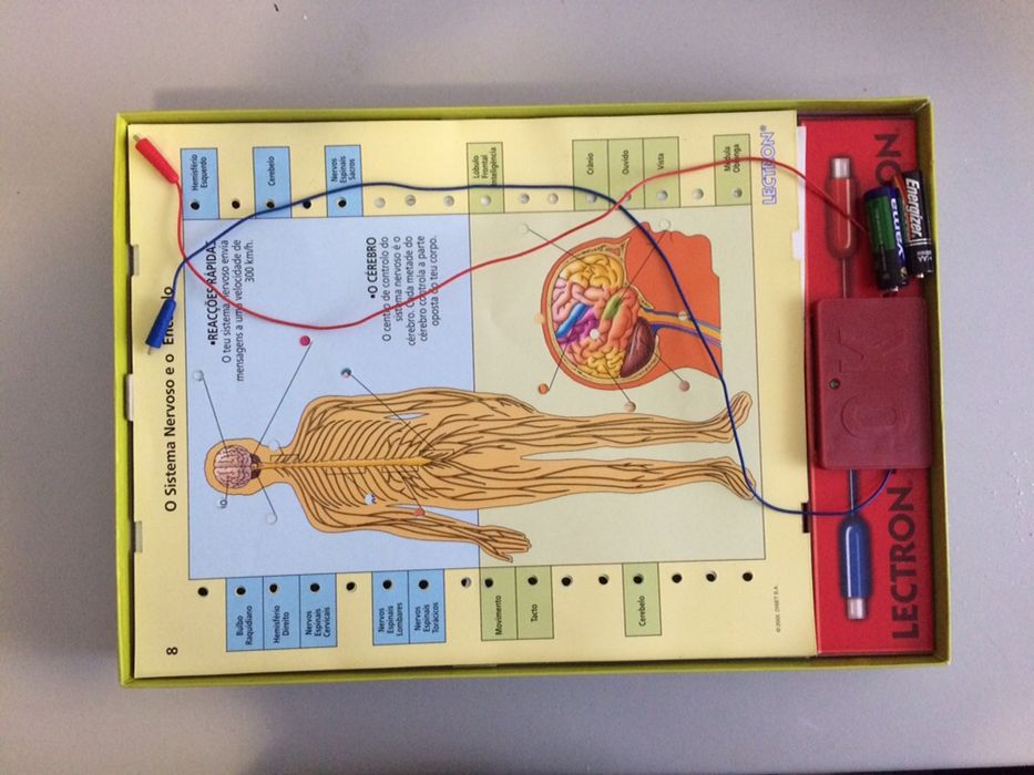 Lectron conhece o teu corpo.