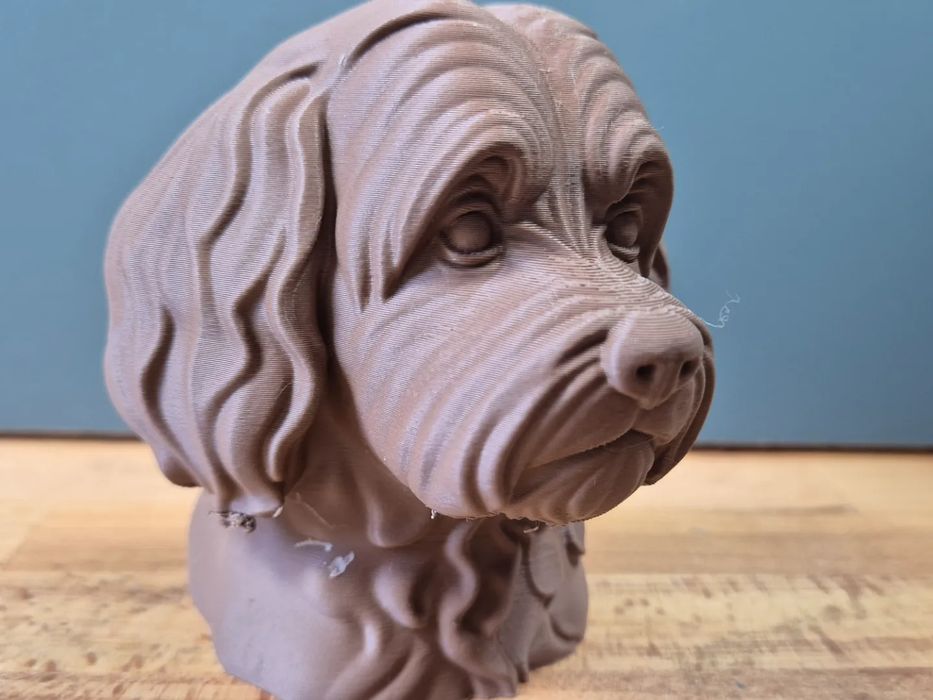 Busto Detalhado de Cão Havanês - Presente Perfeito