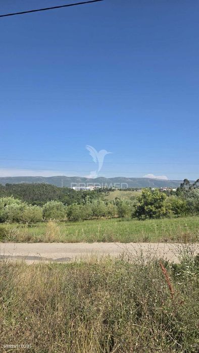 Terreno em Aljubarrota para comprar
