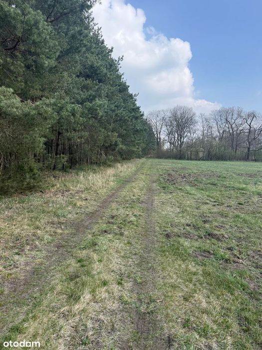 Zjawiskowa działka 1.34ha-możliwość zabudowy. - Widok 4