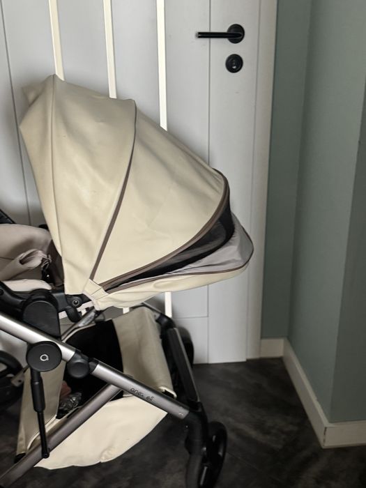 Anex Eli Muse 2024,
