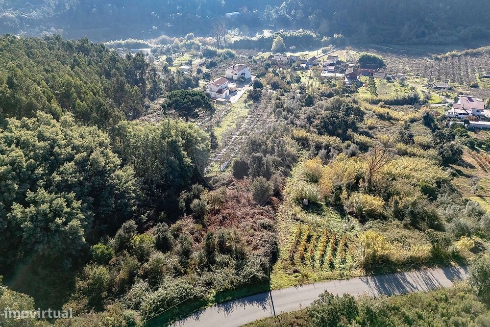 Terreno  para venda