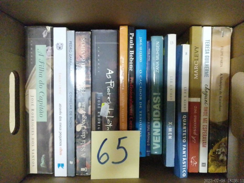 LOTES 65 + 66 - LIVROS Diversos - Vendidos EM SEPARADO - Vários Preços
